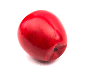 Manzana roja  #137