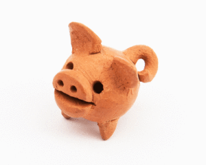 Cerdo miniatura #165